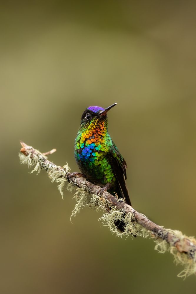 Photograph by Ricardo Ferreira