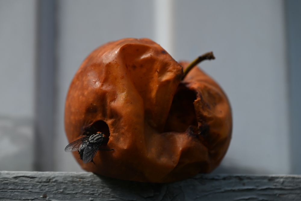 Photograph by Светлана Рубникович