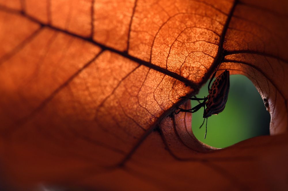 There is light at the end of the tunnel