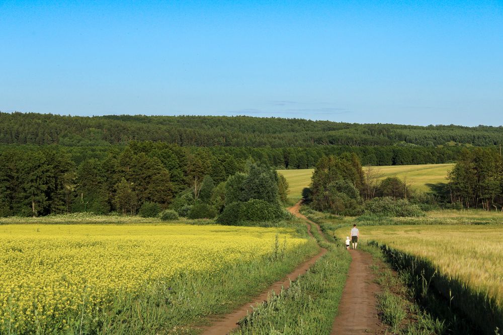 Photograph by Екатерина Федотова