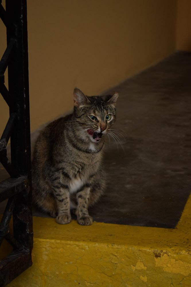 Photograph by Ekaterina