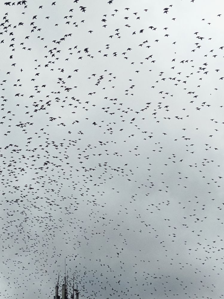 Photograph by Константин Бокарев