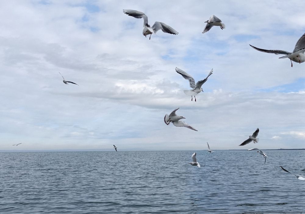 Photograph by Константин Бокарев