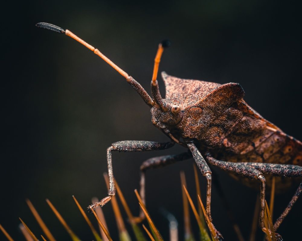 Фотография автора Андрей Баранов
