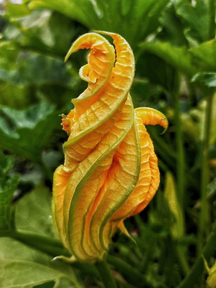 Photograph by Ольга Мартьянова