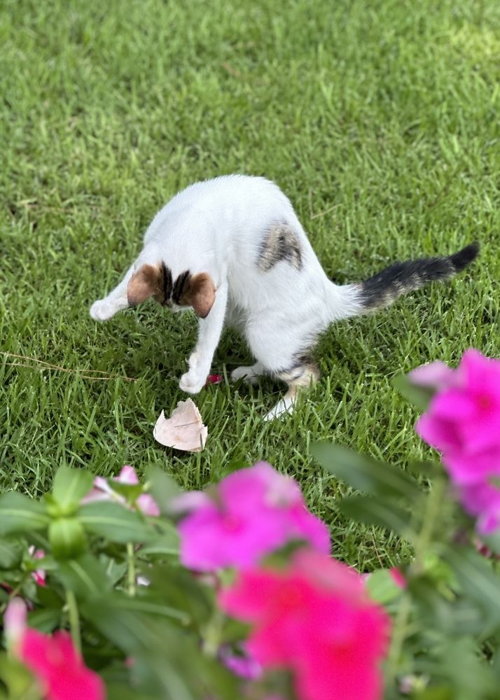 Photograph by Ольга Рачилова