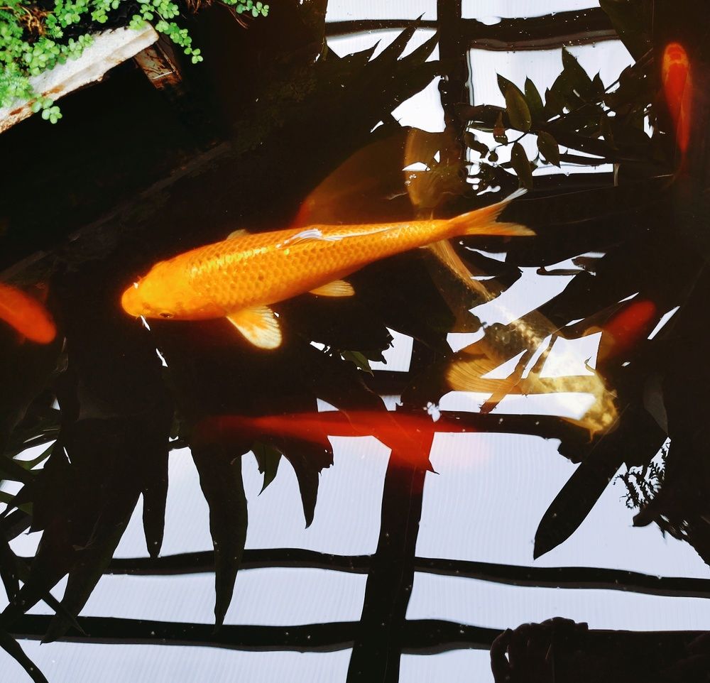 Photograph by Marina Green