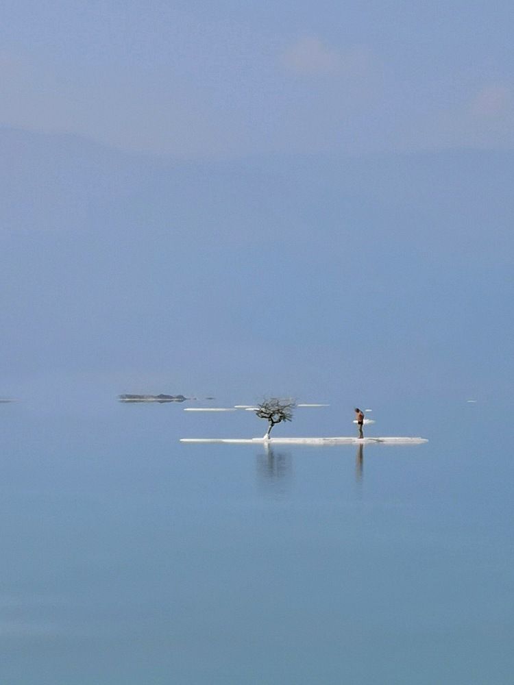 Photograph by Михаил Янкин