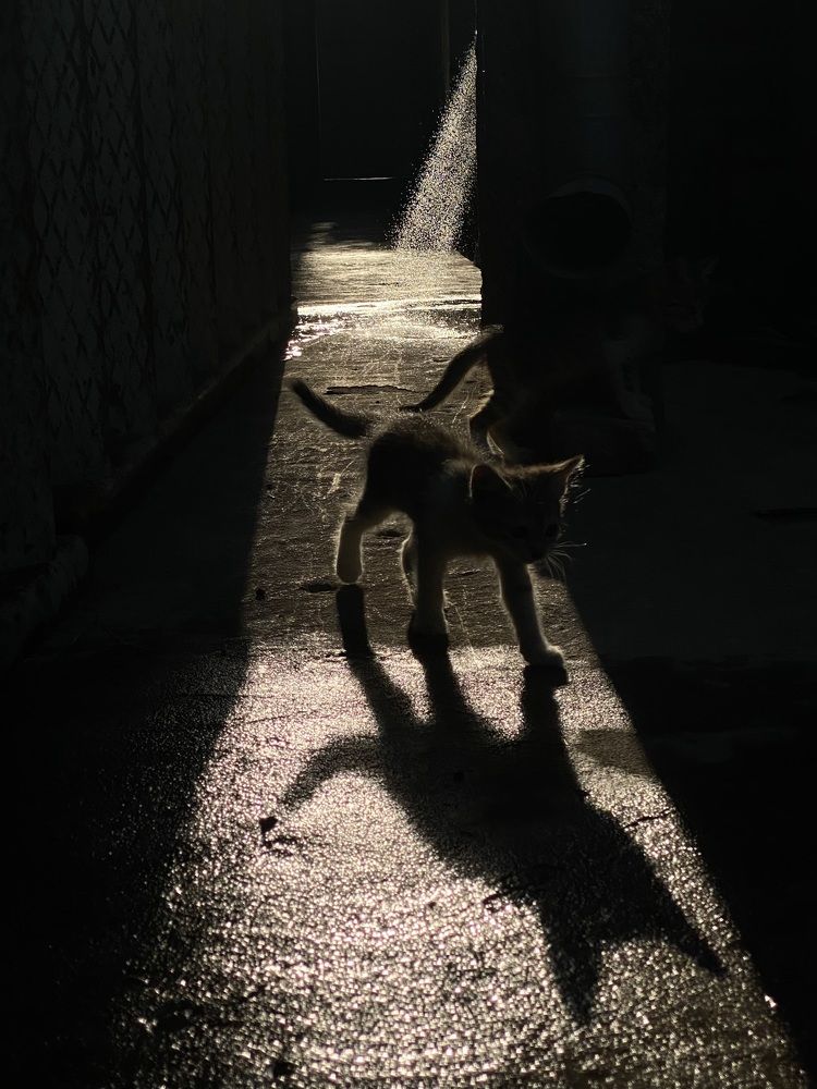 Photograph by Xenia Suvorova