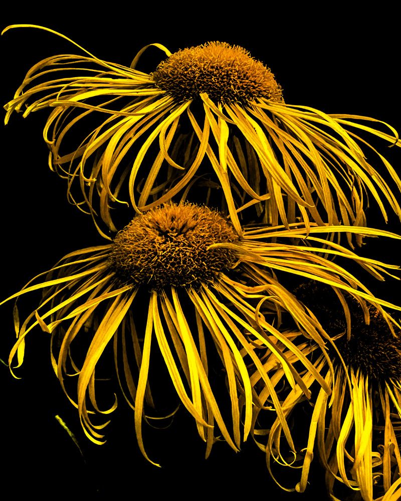 Фотография автора Ирина Якущенко