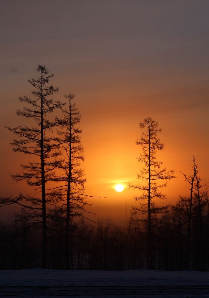 Photograph by 