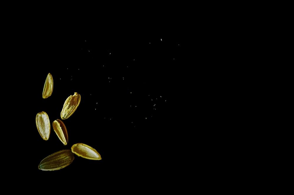 Фотография автора Denise Demange