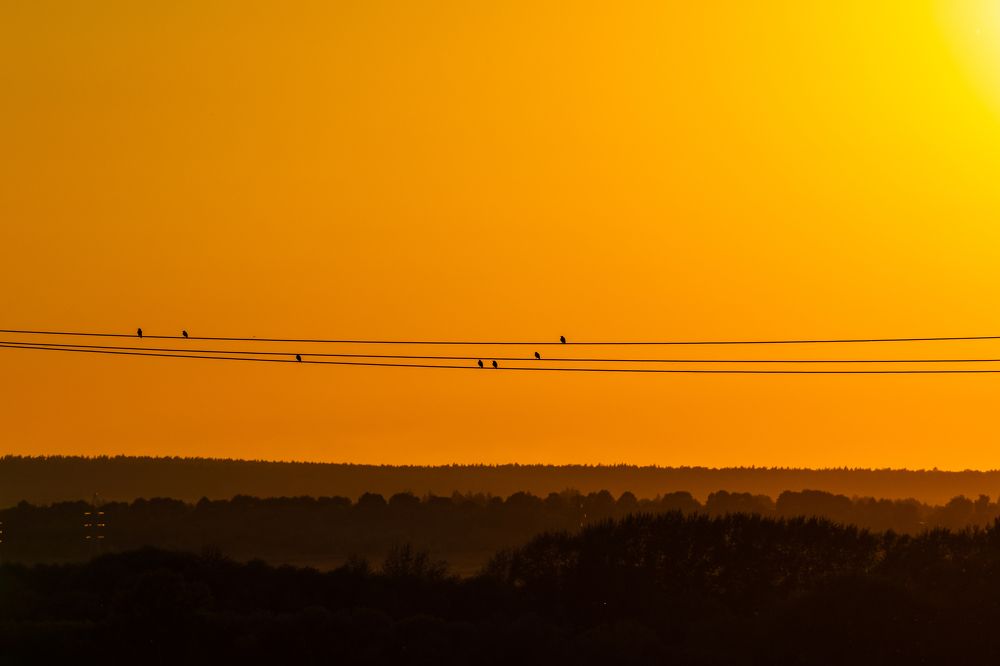 Photograph by Александр Кузнецов