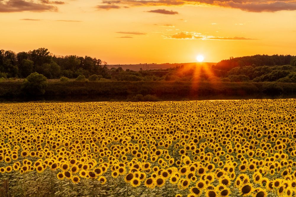 Photograph by Кузнецов Александр