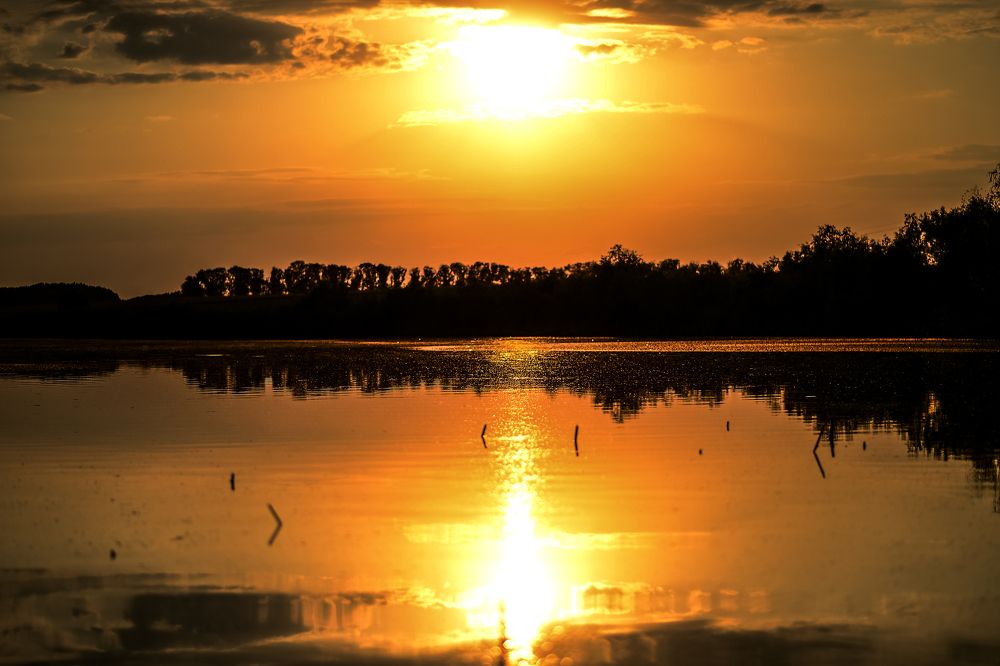 Photograph by Татьяна Литвинова