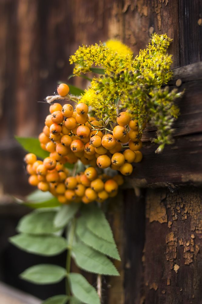 Photograph by Татьяна Шахматова