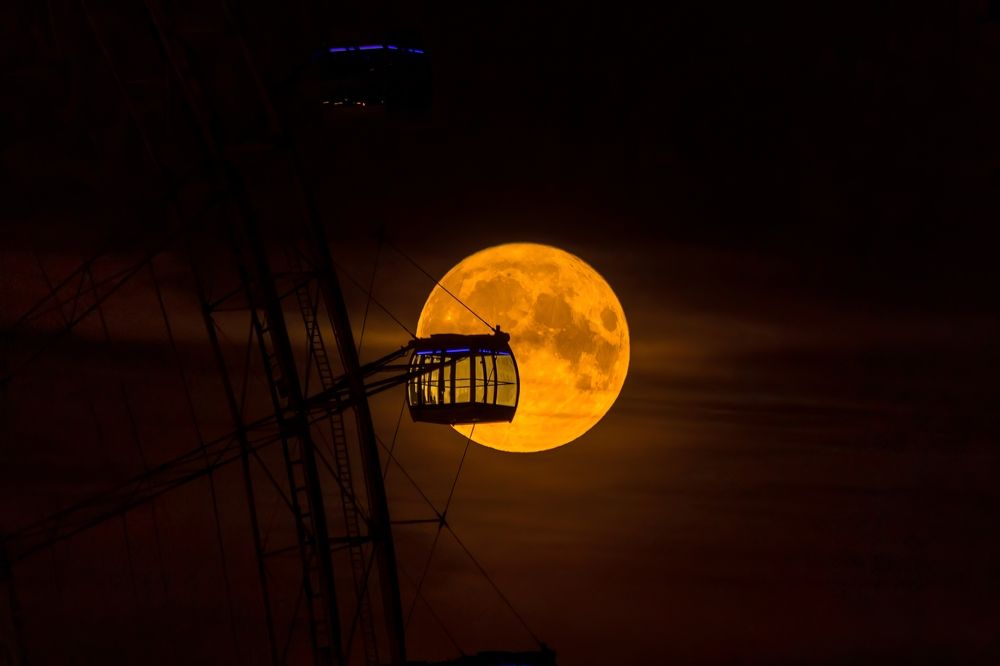 Photograph by Алексей Никитин