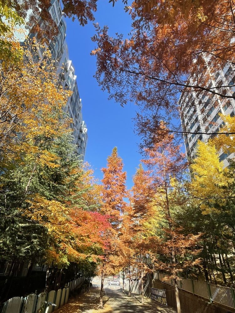 Photograph by Gorobets Olga