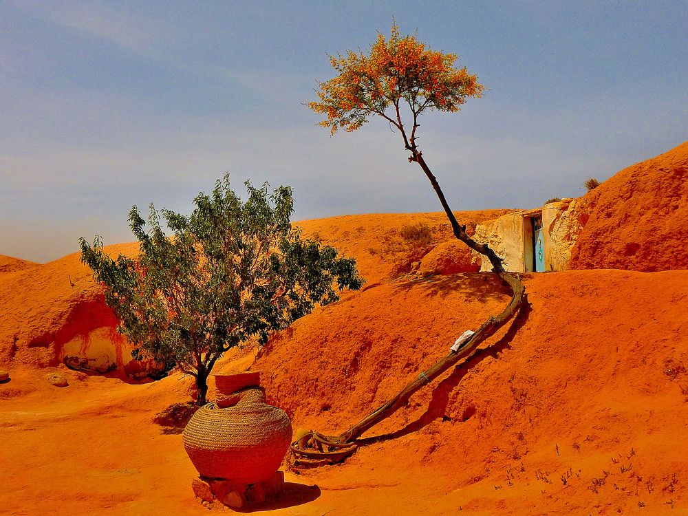 Сахара. Жилище берберов