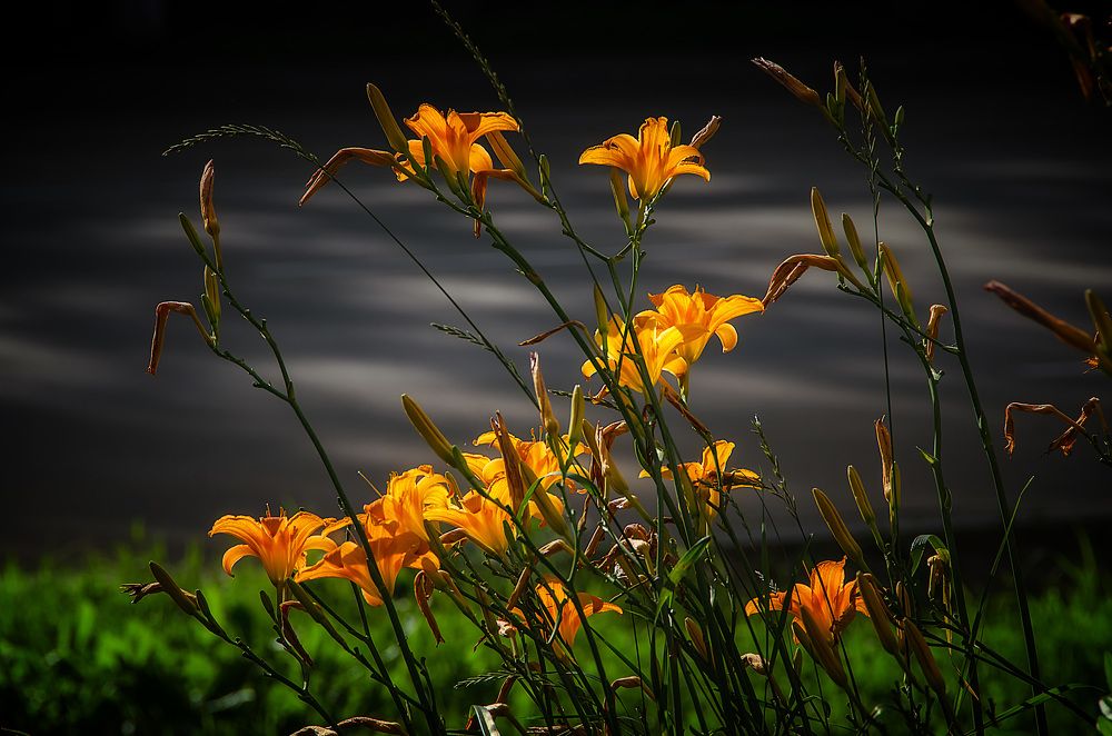 Photograph by Даниил Марков