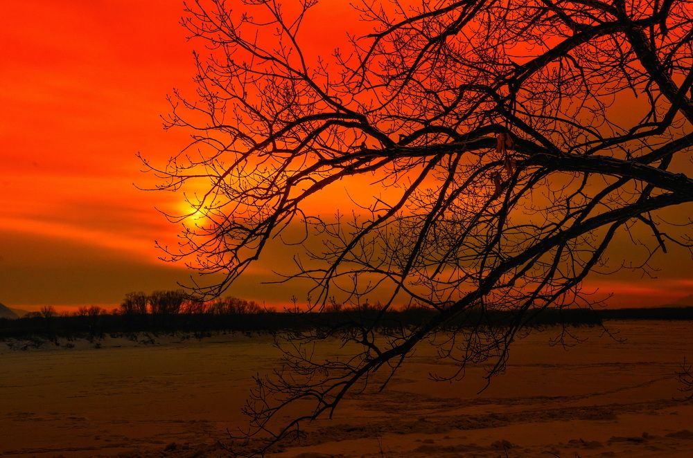 Photograph by Даниил Марков