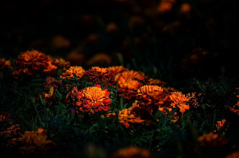 Photograph by Даниил Марков