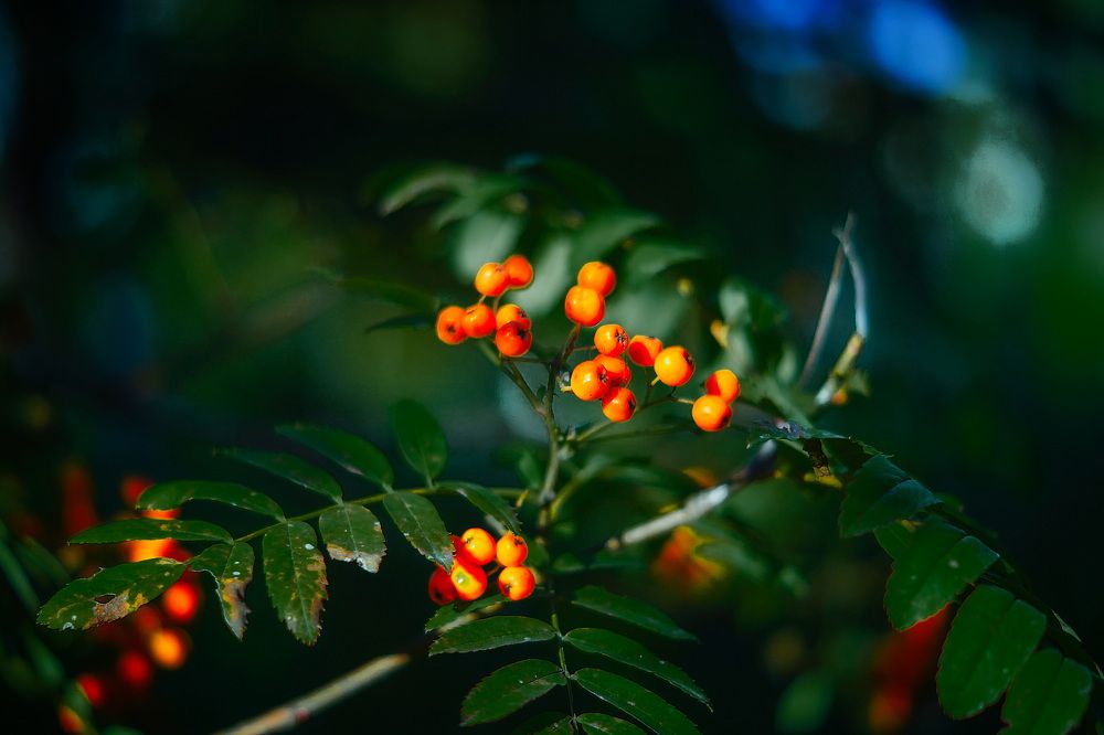 Photograph by Даниил Марков