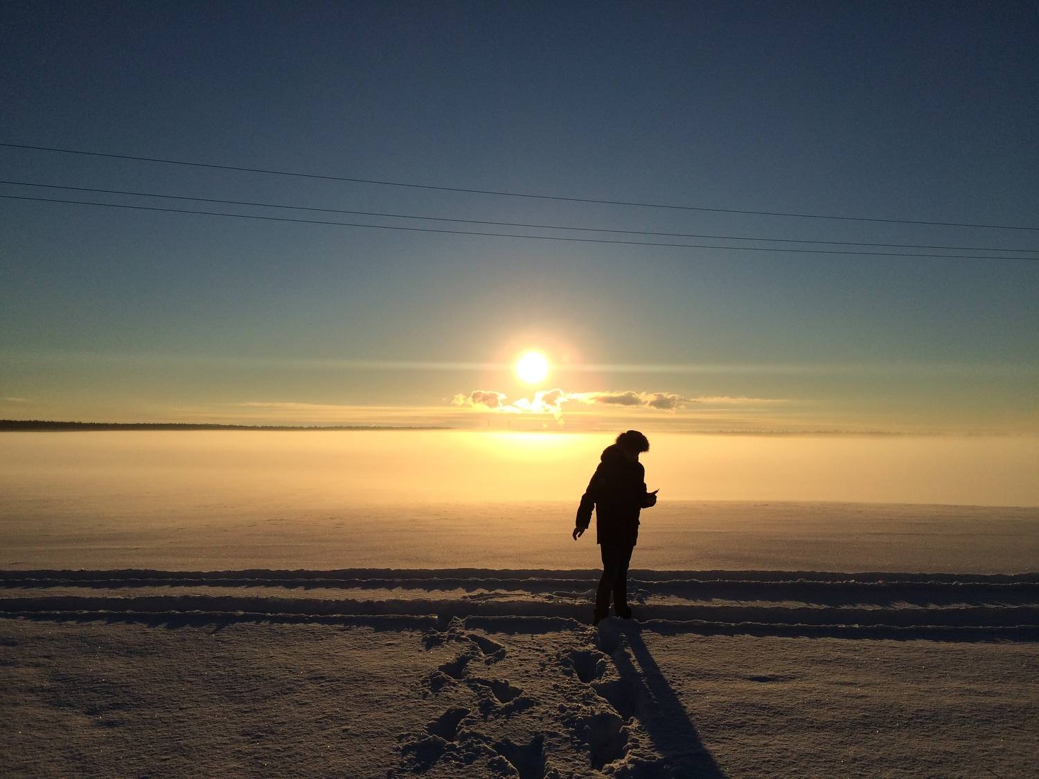 Photo #9428094