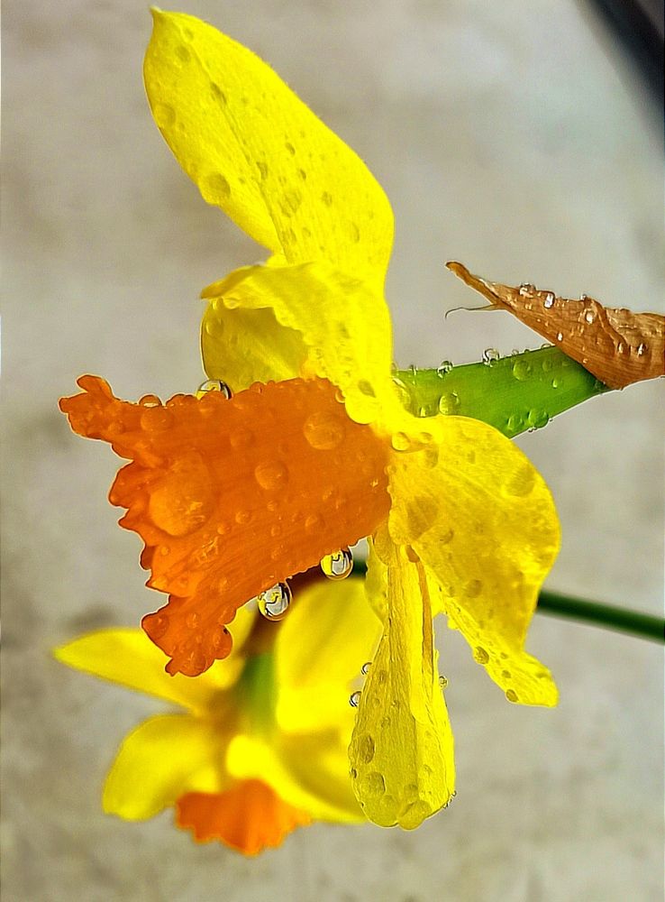 Photograph by Ольга Тихонова