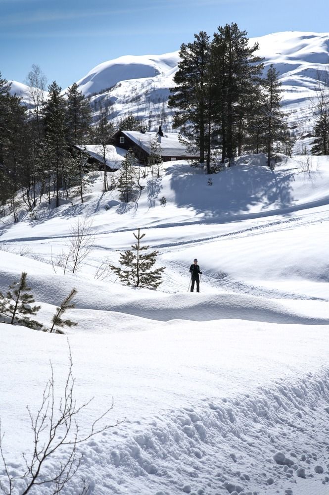 Photograph by Ольга Кудина