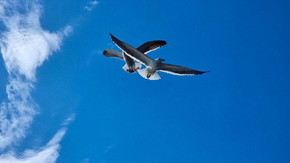 Photograph by Marie G