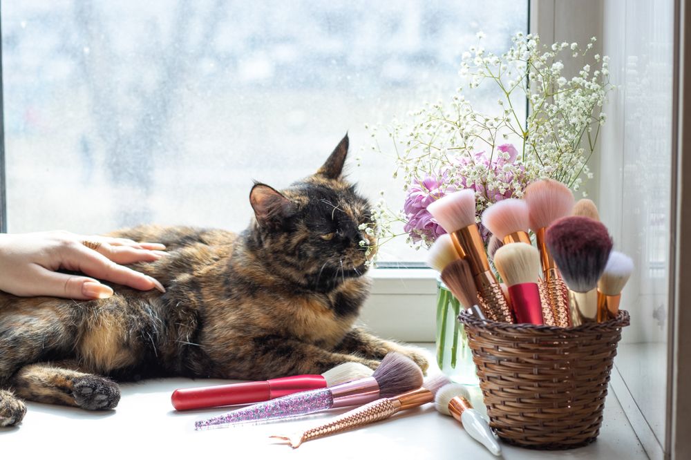 Photograph by Наталья Мотрий