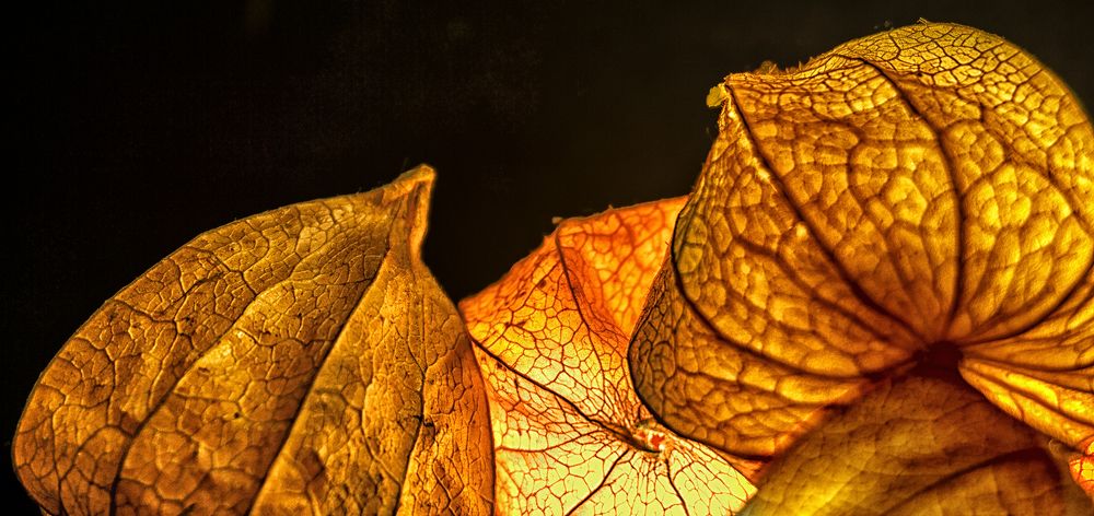 Фотография автора Milena Ivanova