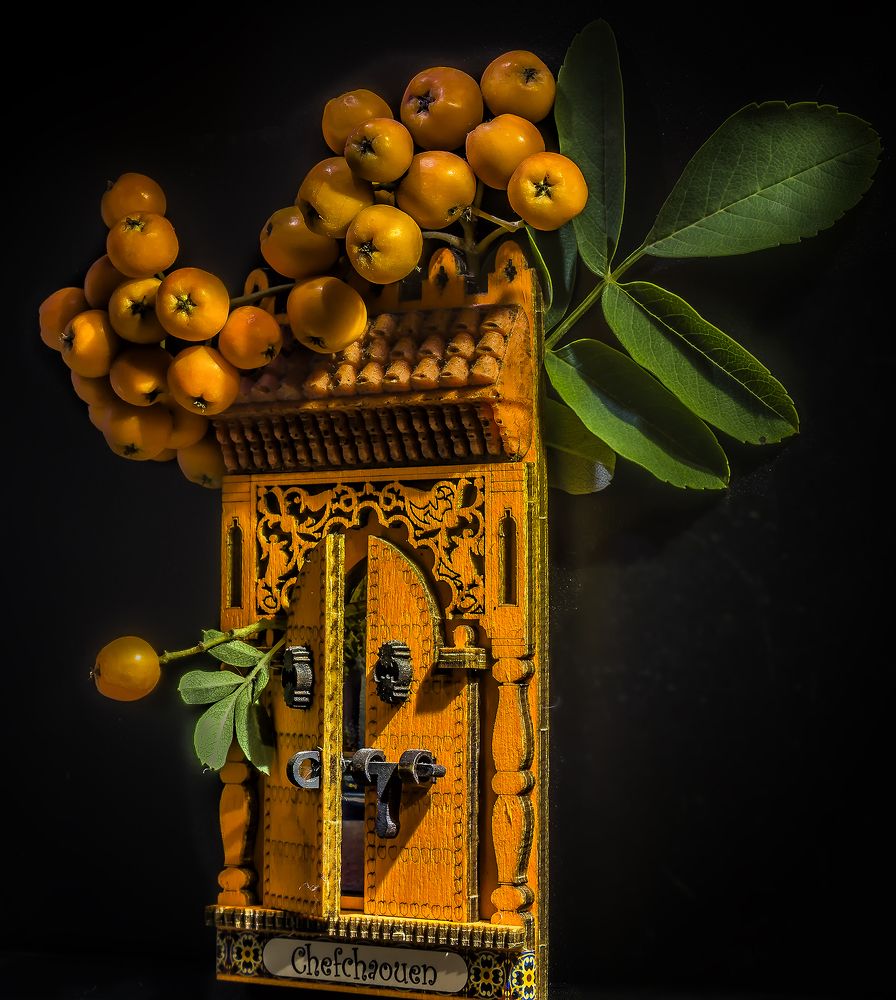 Фотография автора Milena Ivanova