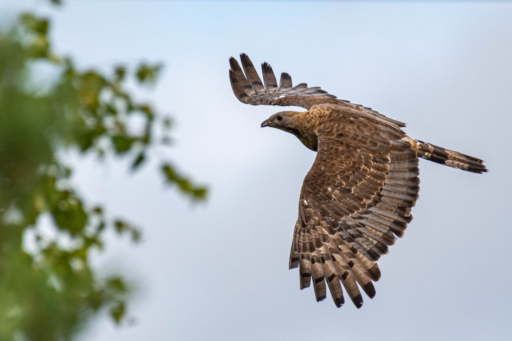 Photograph by Андрей Бородкин