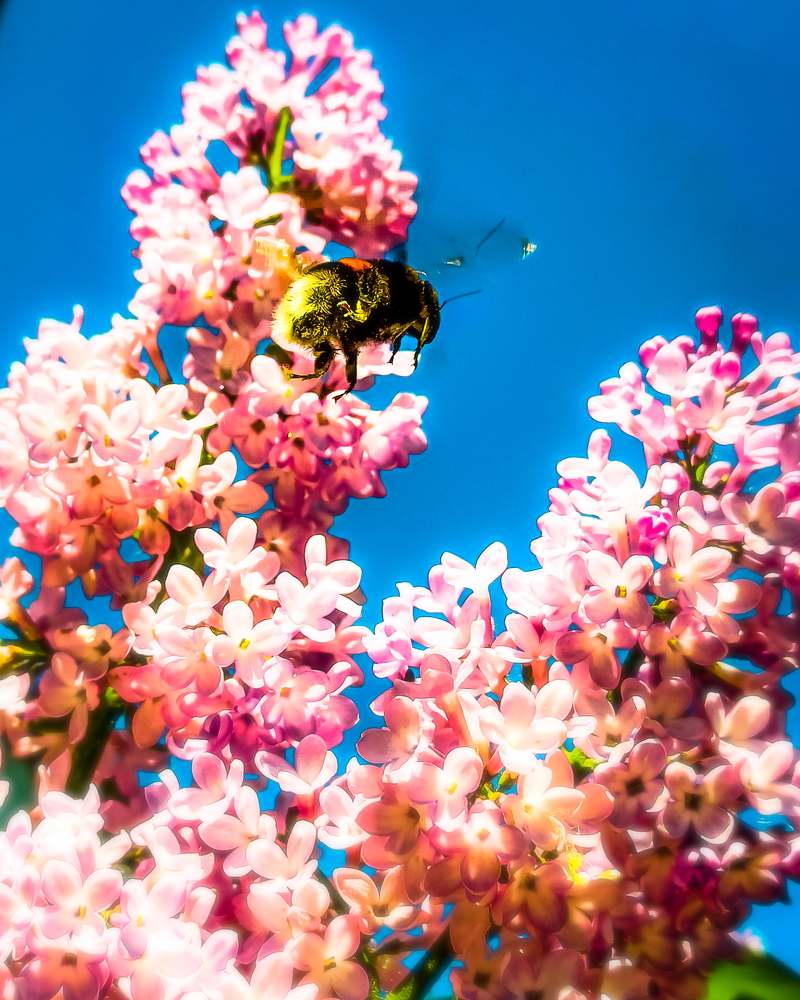 Photograph by Николай Яковлев