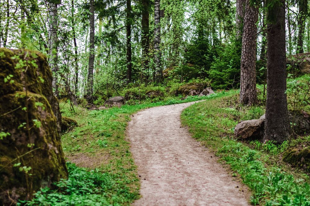 Photograph by Юлия Мулданин