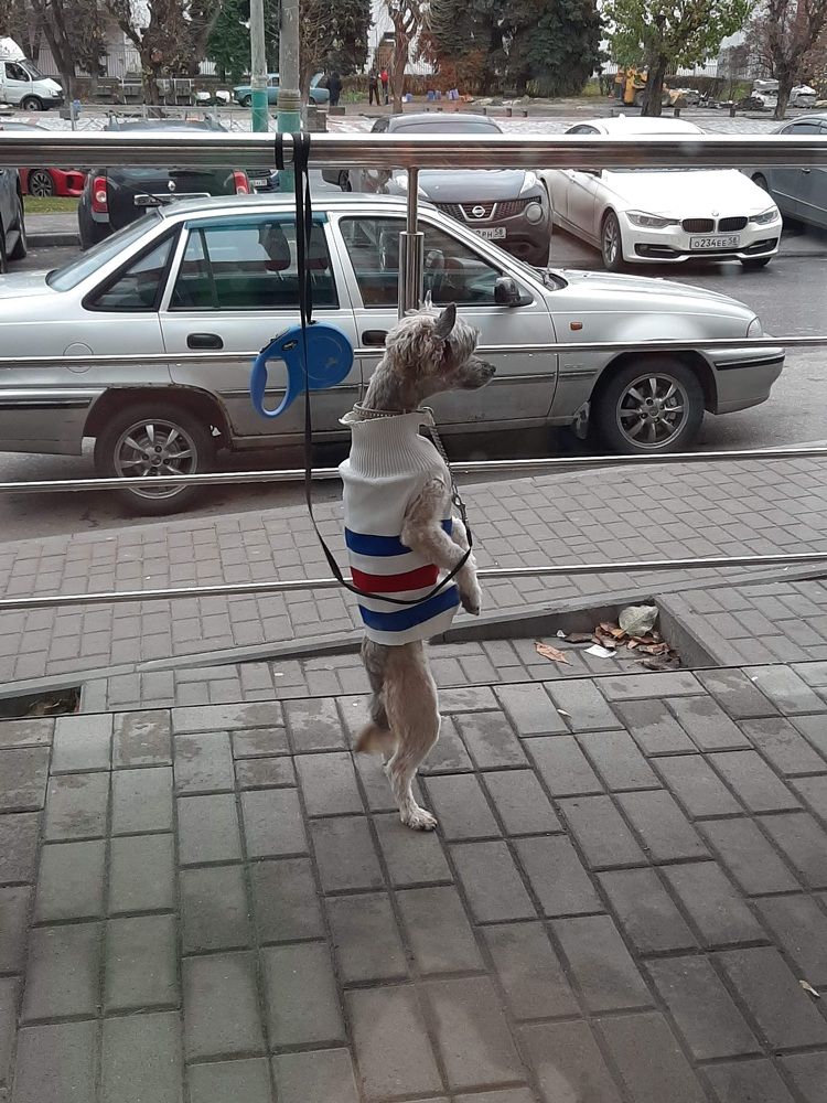 Photograph by Елена Горева