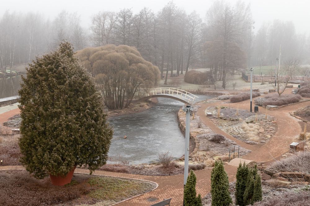 Photograph by Аркадий Старочкин