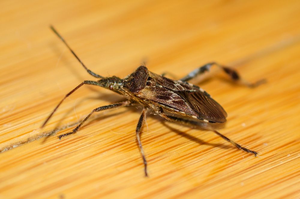 Photograph by Евгений Каримов