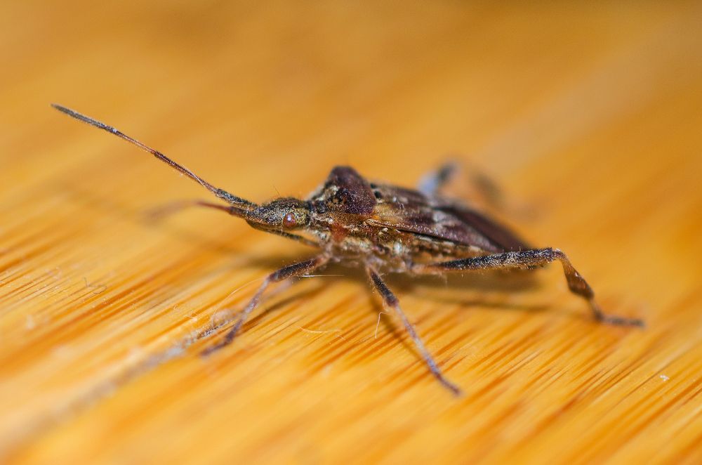 Photograph by Евгений Каримов