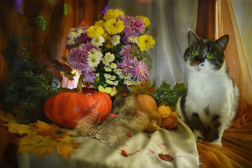 Photograph by Олена Лукашевич