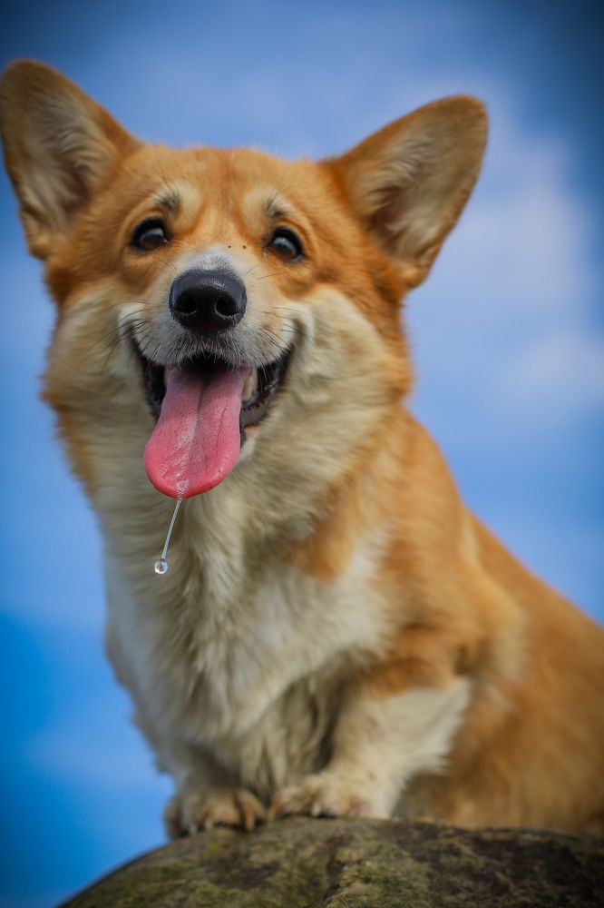 Photograph by Альвина Кузнецова