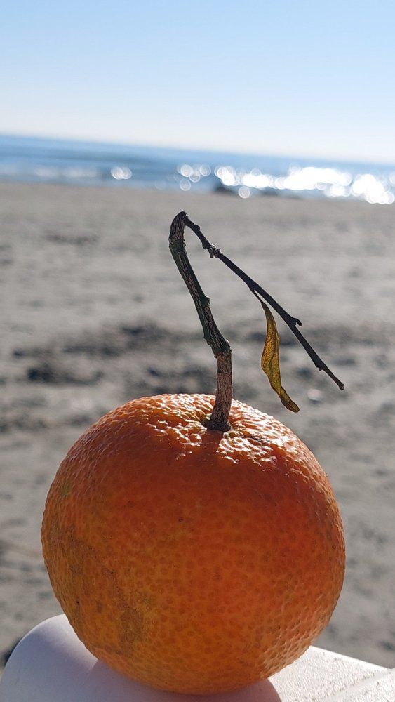 Photograph by Svitlana Usatenko