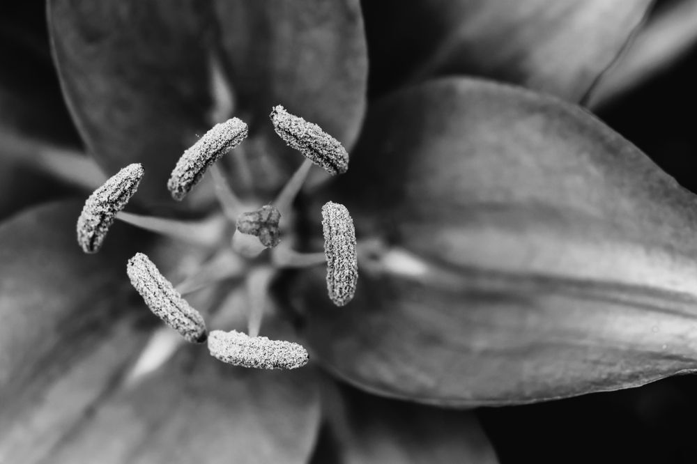 Photograph by Radovan Dziak