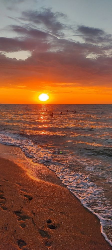 Фотография автора Васильева Ирина