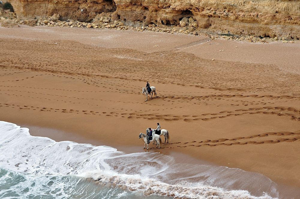 Photograph by Lyudmyla Chorney