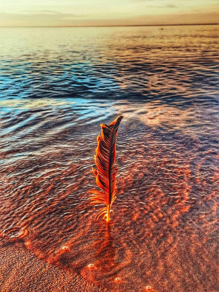 Photograph by Дайана