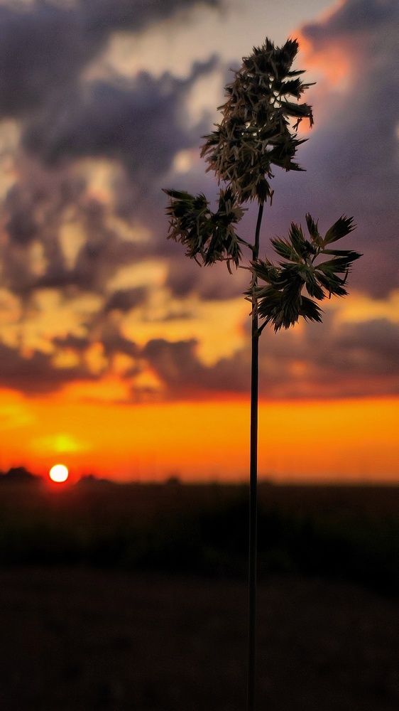 Photograph by Anastasia Malyukova