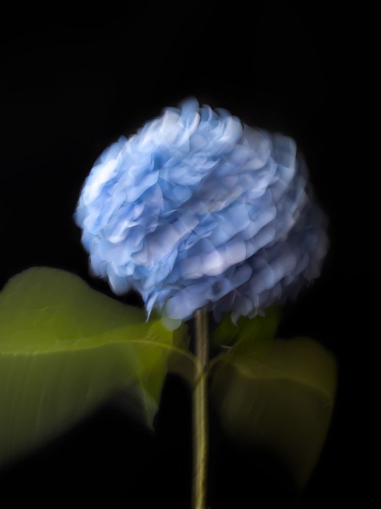 Photograph by Дарья Махнева